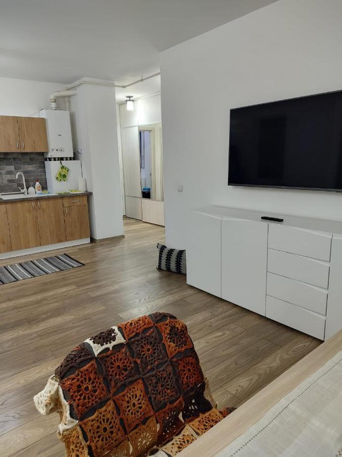 Casa Ioana Appartement Târgu-Mureş Buitenkant foto