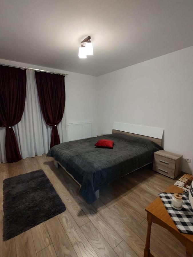 Casa Ioana Appartement Târgu-Mureş Buitenkant foto
