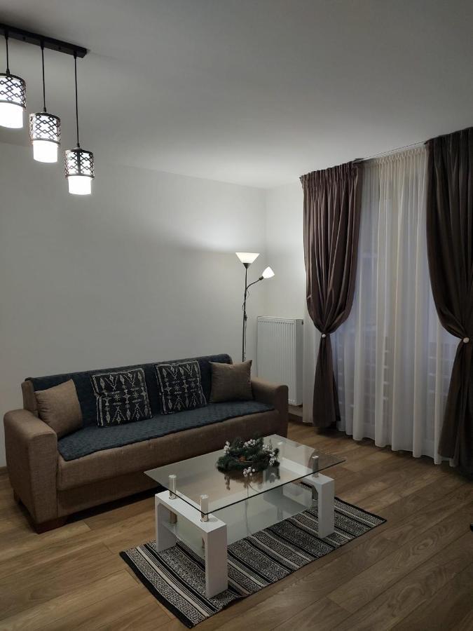 Casa Ioana Appartement Târgu-Mureş Buitenkant foto